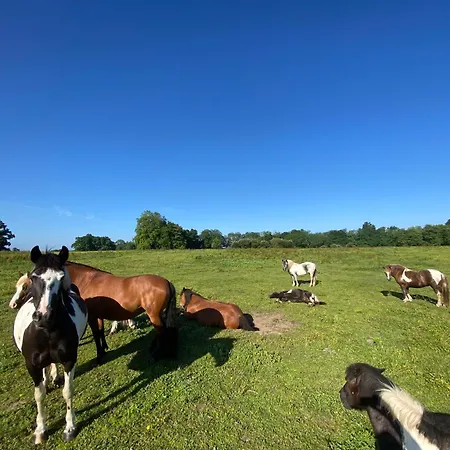 En Pays Basque Les Chenes Avec Jacuzzi *