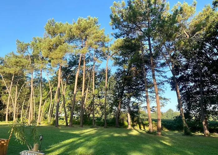 En Pays Basque Les Chenes Avec Jacuzzi *