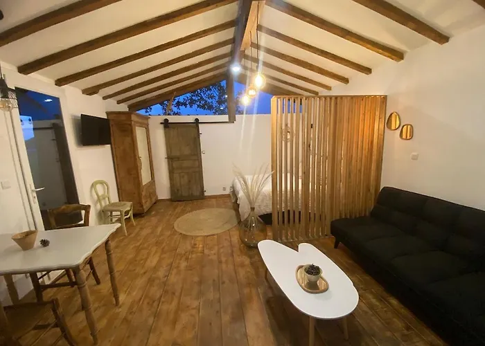 En Pays Basque Les Chenes Avec Jacuzzi * Came