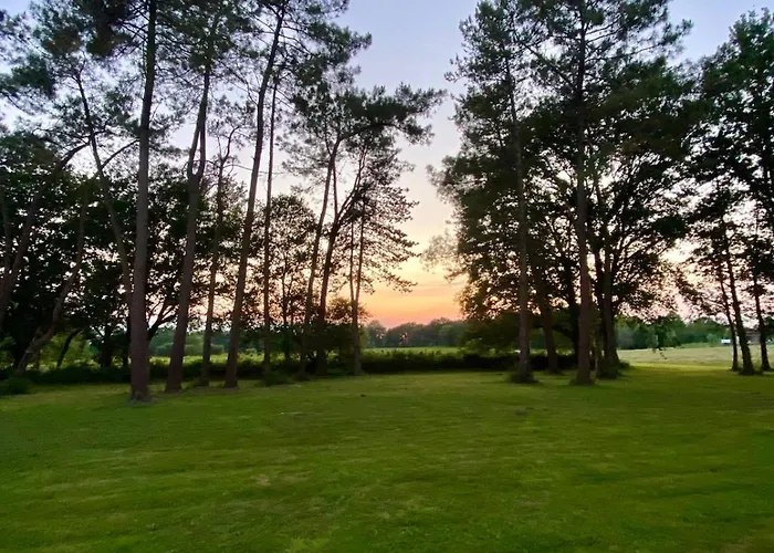 En Pays Basque Les Chênes Avec Jacuzzi * Came