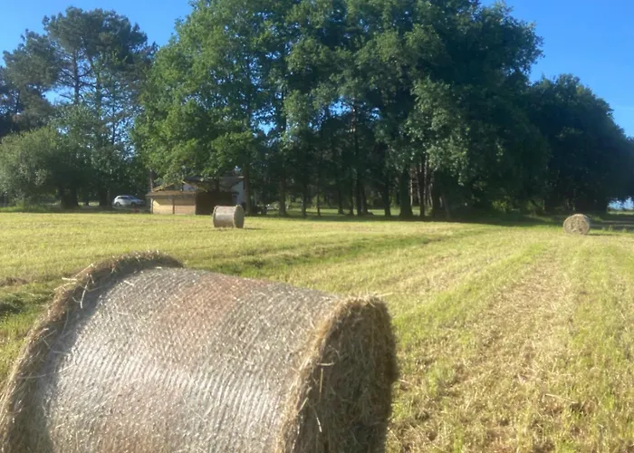 En Pays Basque Les Chenes Avec Jacuzzi Came