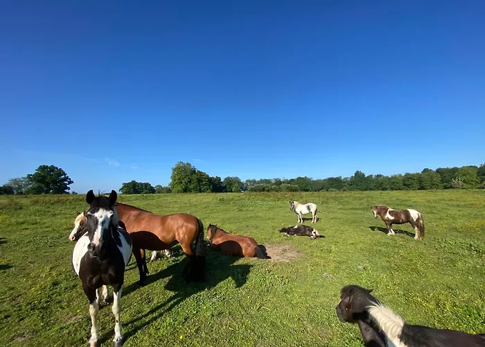 En Pays Basque Les Chenes Avec Jacuzzi *